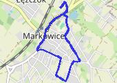 Markowice 2016-01-28 18:01 AAW - mapa trasy gps - marsz