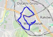 Trasa z dnia 2016-02-04 21:33 - mapa trasy gps - marsz