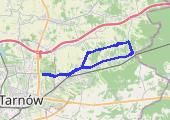 Tarnów, Jodłówka Wałki - mapa trasy gps - rower trekkingowy