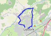 Trasa z dnia 2013-04-30 08:02 - mapa trasy gps - marsz
