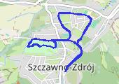 Trasa z dnia 2016-03-12 21:55 - mapa trasy gps - bieganie
