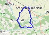 Trasa z dnia 2016-03-13 14:32 - mapa trasy gps - rower górski