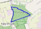 Trasa z dnia 2016-03-28 17:58 - mapa trasy gps - marsz