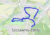 Trasa z dnia 2016-03-31 22:35 - mapa trasy gps - bieganie