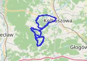 Trasa z dnia 2016-03-30 18:52 - mapa trasy gps - rower szosowy