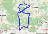 Trasa z dnia 2016-04-13 19:05 - mapa trasy gps - rower szosowy