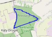 Trasa z dnia 2016-04-16 18:01 - mapa trasy gps - marsz